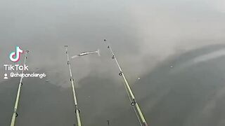 Cari ikan dulu
