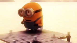 Funny video 844
