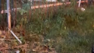 Story wa 4