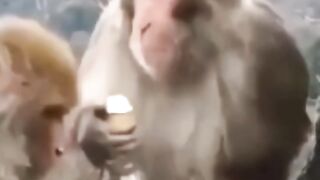 Dudududuùuu