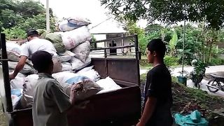 Areng kayu jati