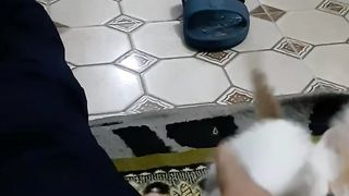 The crazy cat