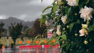 ☔rain video