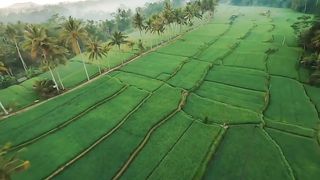Pemandangan
