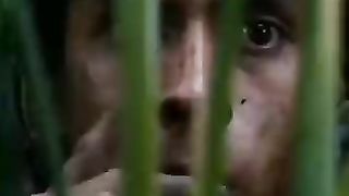 Katak Panah Emas