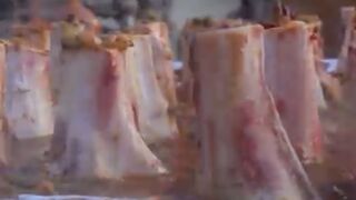 Bone marrow recipe ( subscribe please )