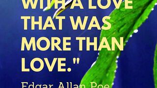 We loved with a