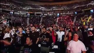Wwe Brock Lesnar