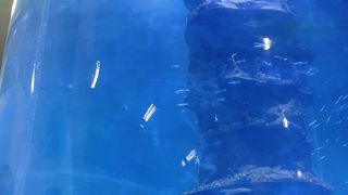 Aquarium 5