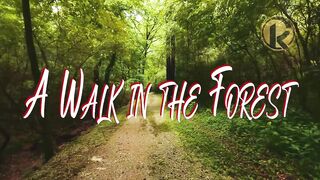 A Walk in the Forest ~ Soothing and Relaxing Music @Kurt-Relaxation
