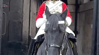 King's Guard