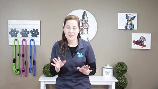Puppy Biting Tips For New Puppy Owners