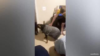 You will forget all your problems with these funny dogs ????