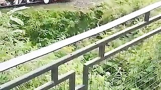Detik-Detik bus terjun ke jurang