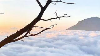 What a beautiful moment and spoil the eye enough to be remembered.