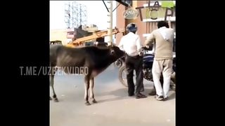 India 7