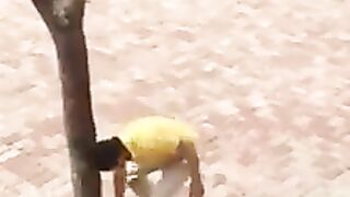 Funny video 852