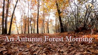 An Autumn Forest Morning ~ Soothing, Meditation, and Relaxing Music @Kurt-Relaxation