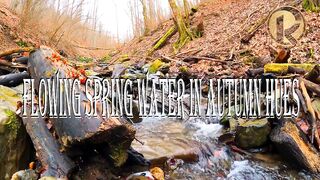 Flowing Spring Water In Autumn Hues ~ Best for Meditation and A Good Night's Sleep @Kurt-Relaxation