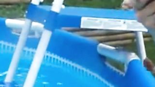 lovely chihuahua swimming pool
