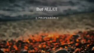 Mashallah 29