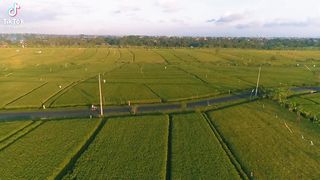 Pemandangan 2
