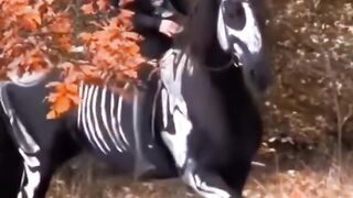 Tiktok vido