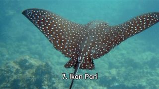7 HEWAN LAUT PALING BERBAHAYA DI DUNIA #short #faktamenarik #viral #trend