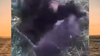 akhirnya damai juga