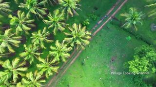 NATURAL JUICE | Red Tender Coconut Sarbath | Healthy Juice Making in Village | Summer Health Drinks