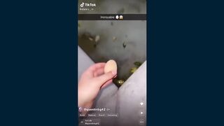L’es meilleur tik tok 2022