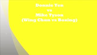 Mike Tyson vs Donnie Yen