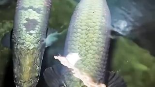 Rezeki setiap orang berbeda"