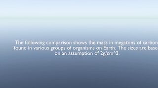 Biomass Comparison