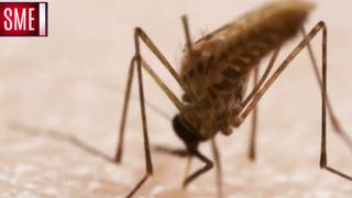 MOST “Dangerous” California Mosquitoes  Best High-tech protection against