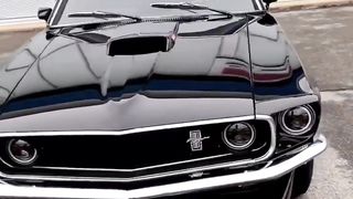 Mustang classic