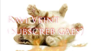 RAVI JADI KANG SERVIS PC LAGI | PC Building Simulator Gameplay