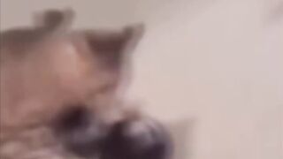 memes i found on internet #32