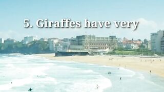 Unique fact uniquefacts, Facts ,unique ,uniquefacts ,viral ,fyp