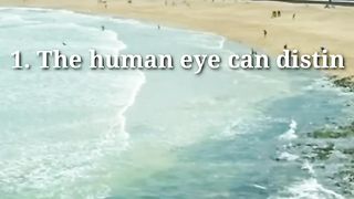 Unique fact uniquefacts, Facts ,unique ,uniquefacts ,viral ,fyp 4