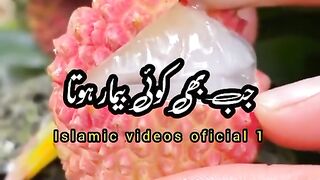 Hazrat Muhammad Saw ki Hadees 18