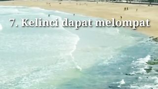 Fakta unik ,faktaunik ,fakta ,unik ,faktaunik ,viral ,fyp 2