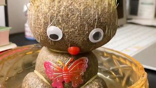 Funny baby 20