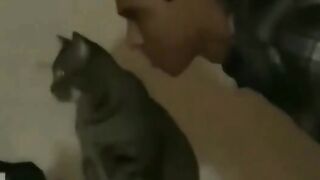adorable cute cat Eps.2