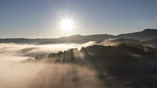 Morning Nature With Sunrise and Birds Sound