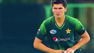 Sheeno clean bowled