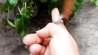 Belajar main karambit
