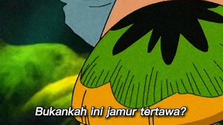 Luffy si penikmat jamur happy