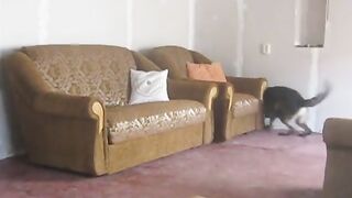 Пратки