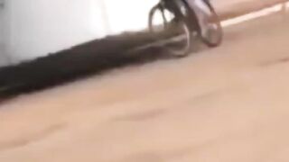 Aneh manusia makan tiang,Gokil..!!!!